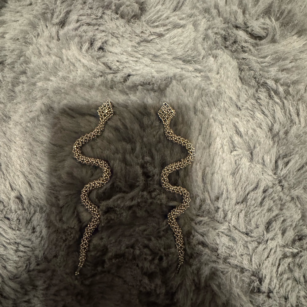 Silver Snake Earrings